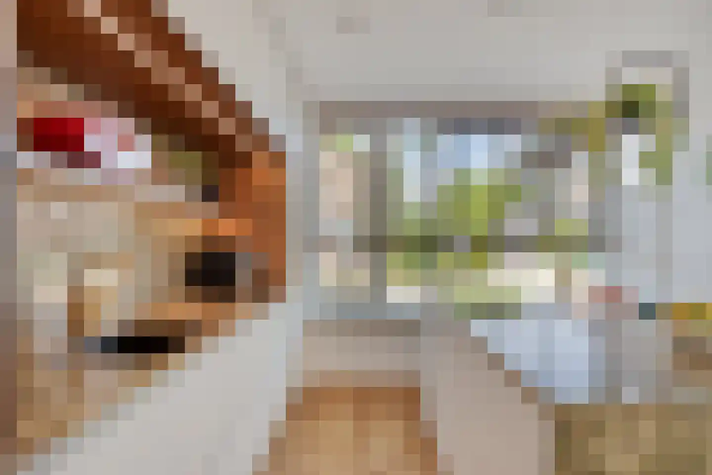 Pieter Stockmanslaan 21 Eindhoven thumbnail 13