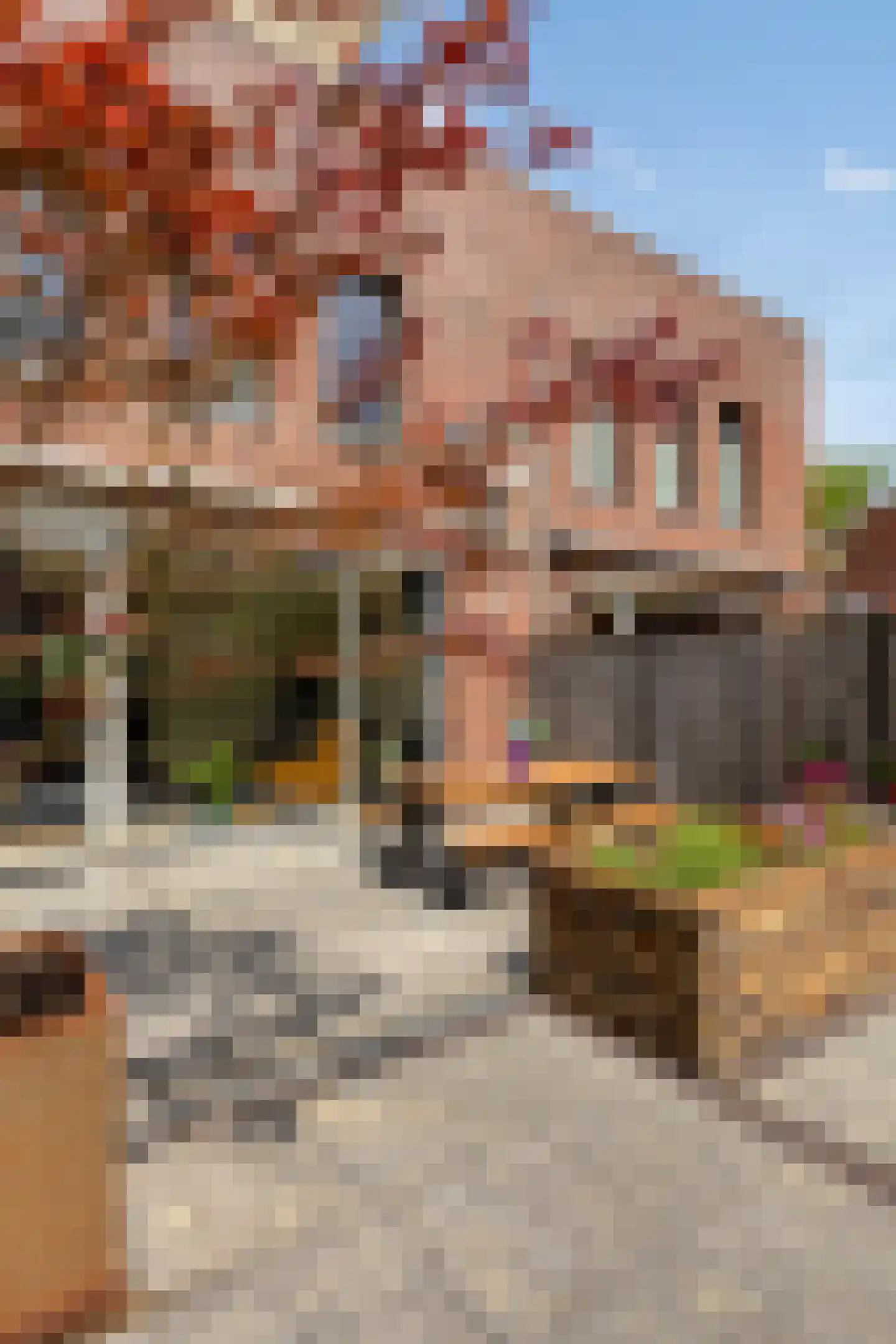 Pieter Stockmanslaan 21 Eindhoven thumbnail 34