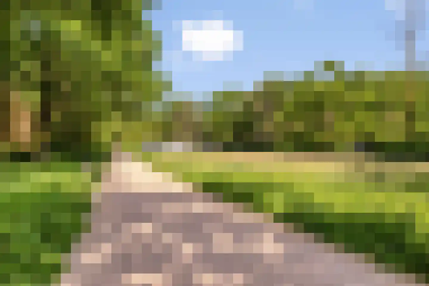 Pieter Stockmanslaan 21 Eindhoven thumbnail 39