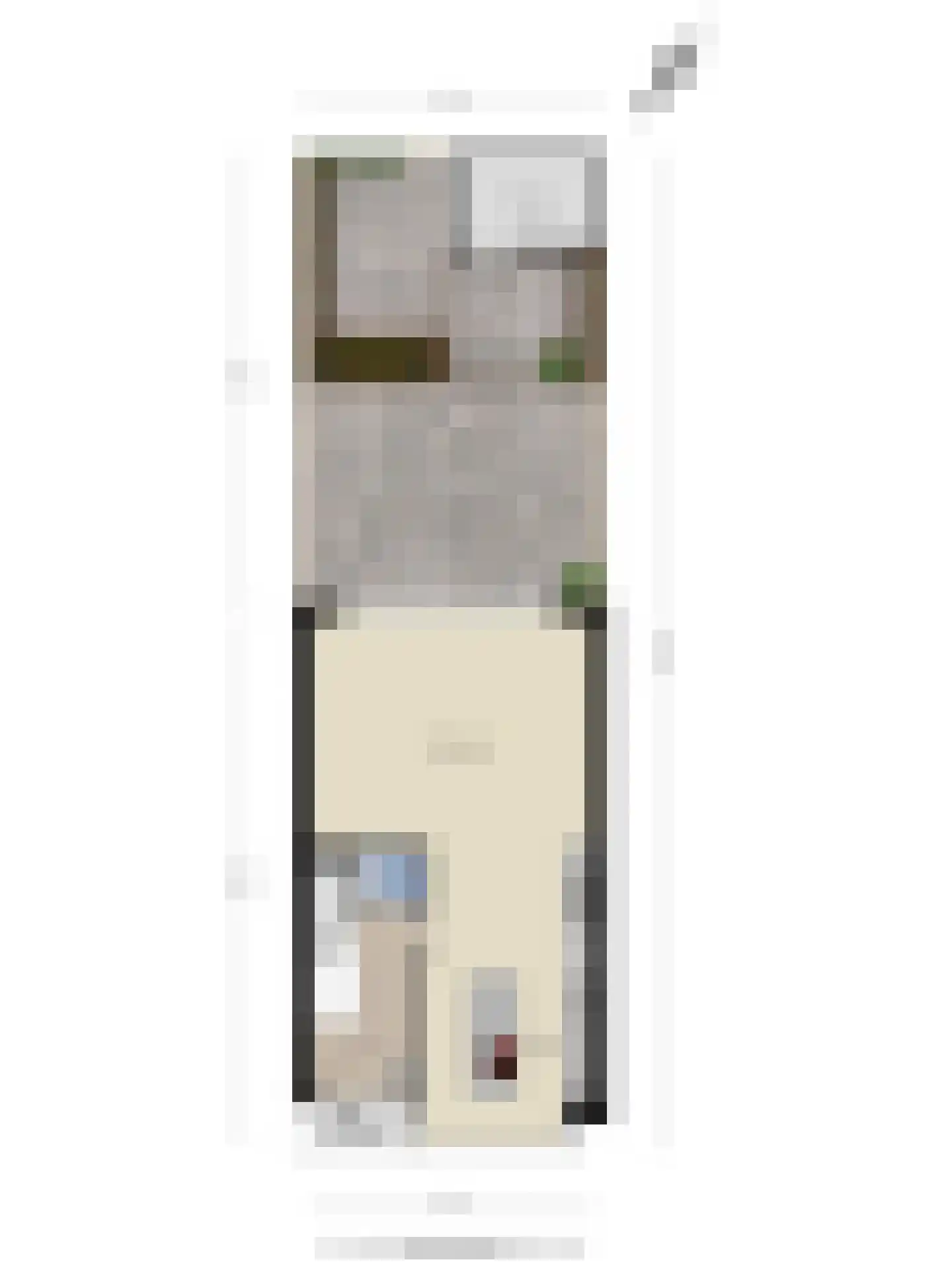 Pieter Stockmanslaan 21 Eindhoven thumbnail 42