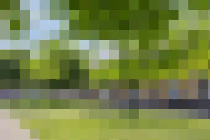 Pieter Straatlaan 68 Den Helder thumbnail 7