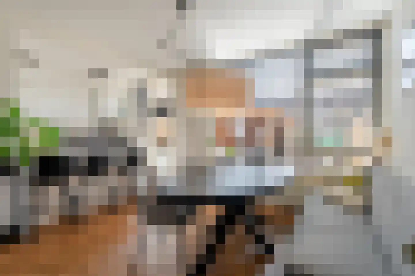 Pieter Stuyvesantstraat 15 Rheden thumbnail 12
