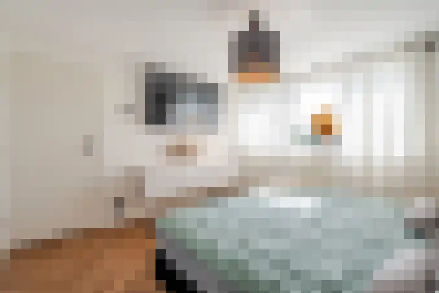 Pieter Stuyvesantstraat 15 Rheden thumbnail 17