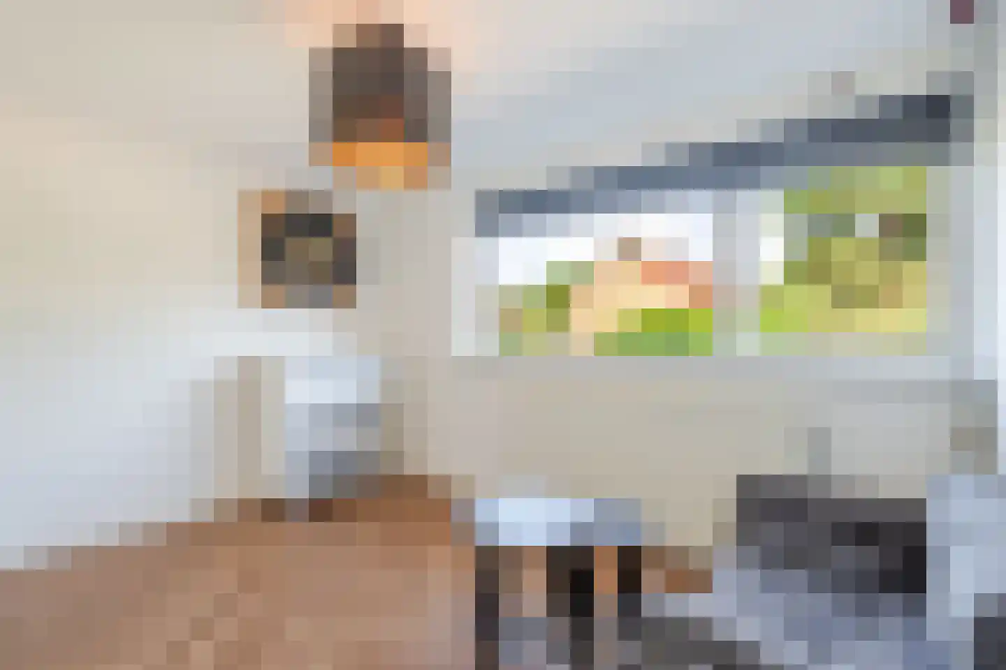 Pieter Stuyvesantstraat 15 Rheden thumbnail 18