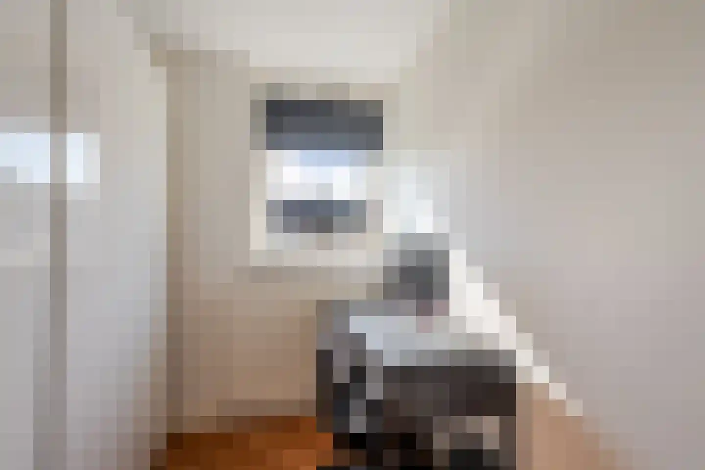 Pieter Stuyvesantstraat 15 Rheden thumbnail 20