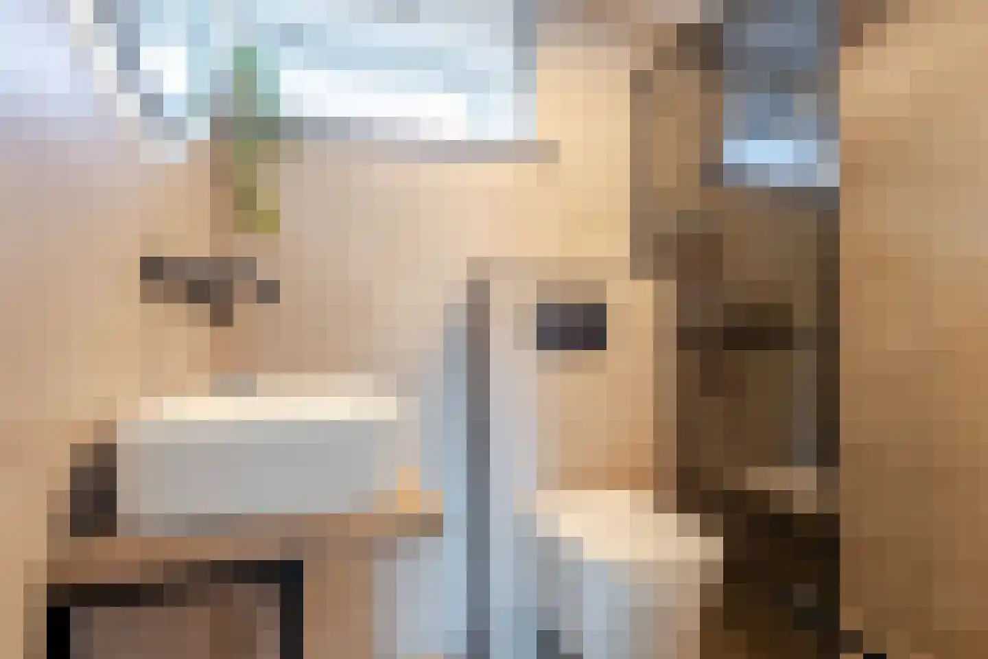 Pieter Stuyvesantstraat 15 Rheden thumbnail 21