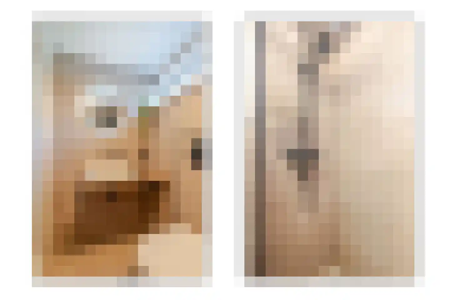 Pieter Stuyvesantstraat 15 Rheden thumbnail 22