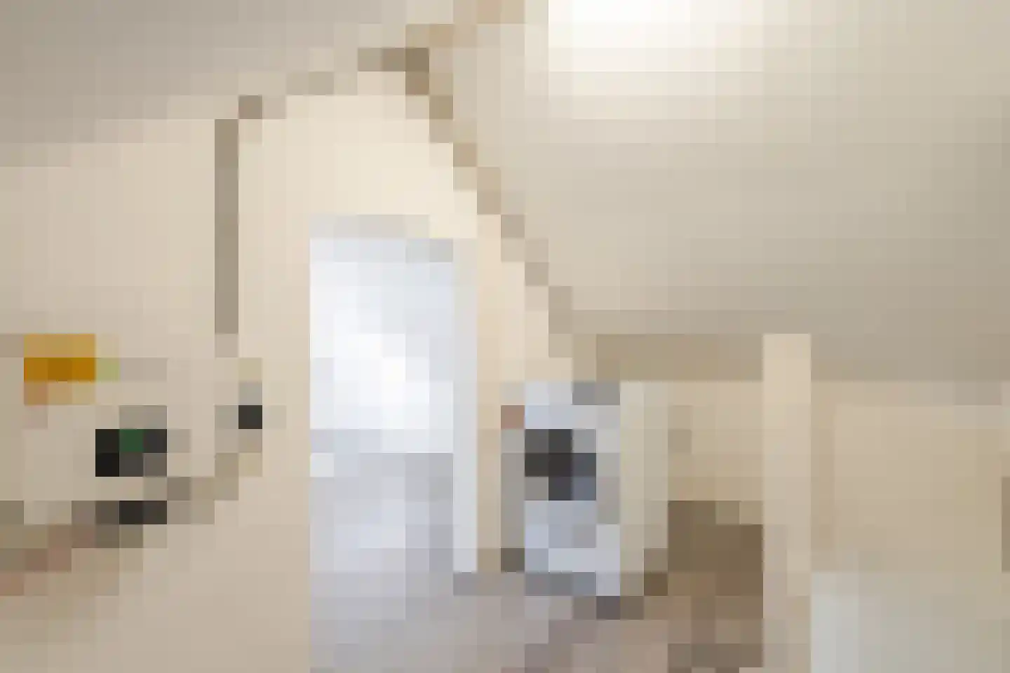 Pieter Stuyvesantstraat 15 Rheden thumbnail 25