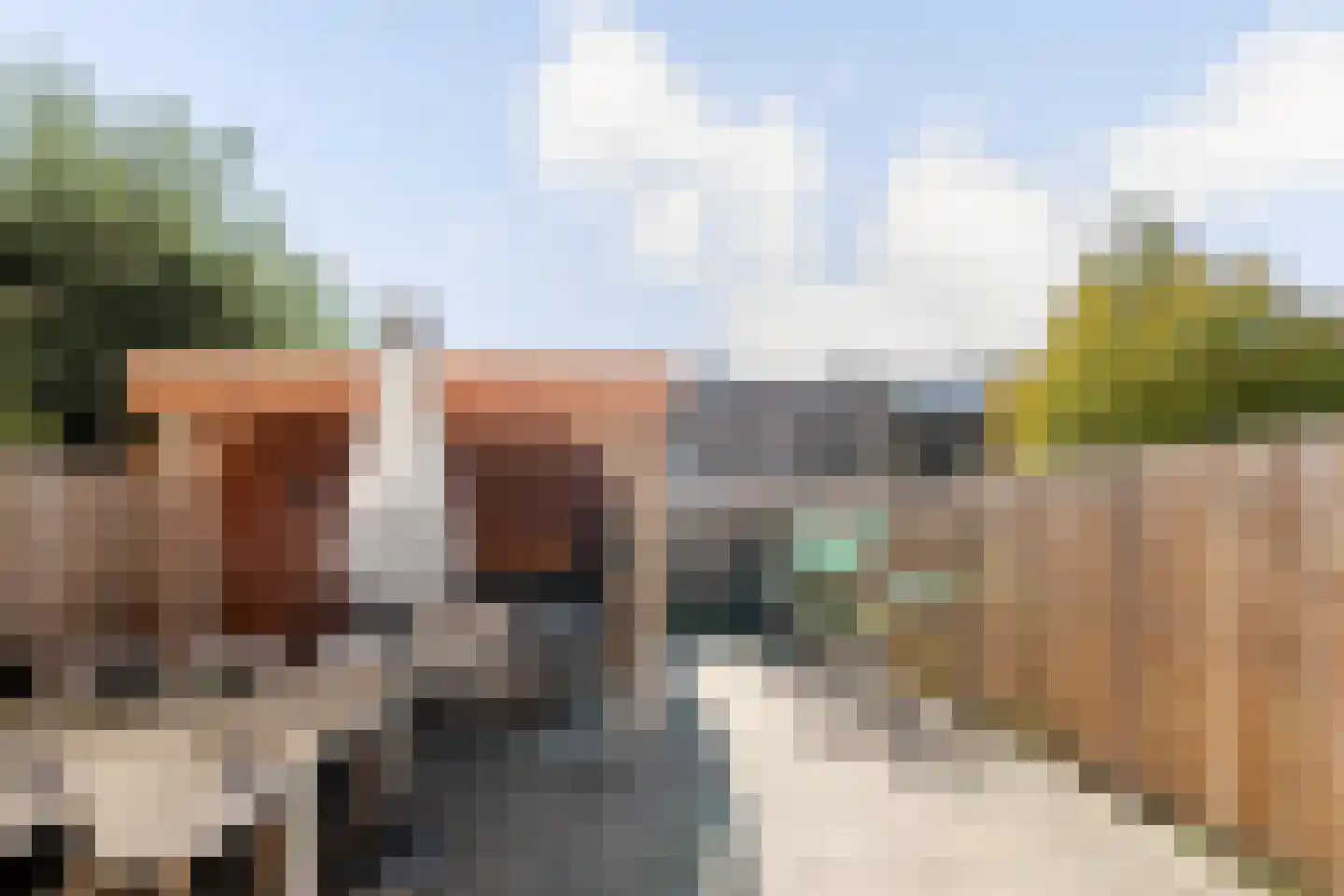 Pieter Stuyvesantstraat 15 Rheden thumbnail 28