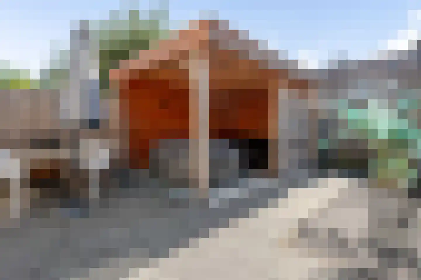 Pieter Stuyvesantstraat 15 Rheden thumbnail 29
