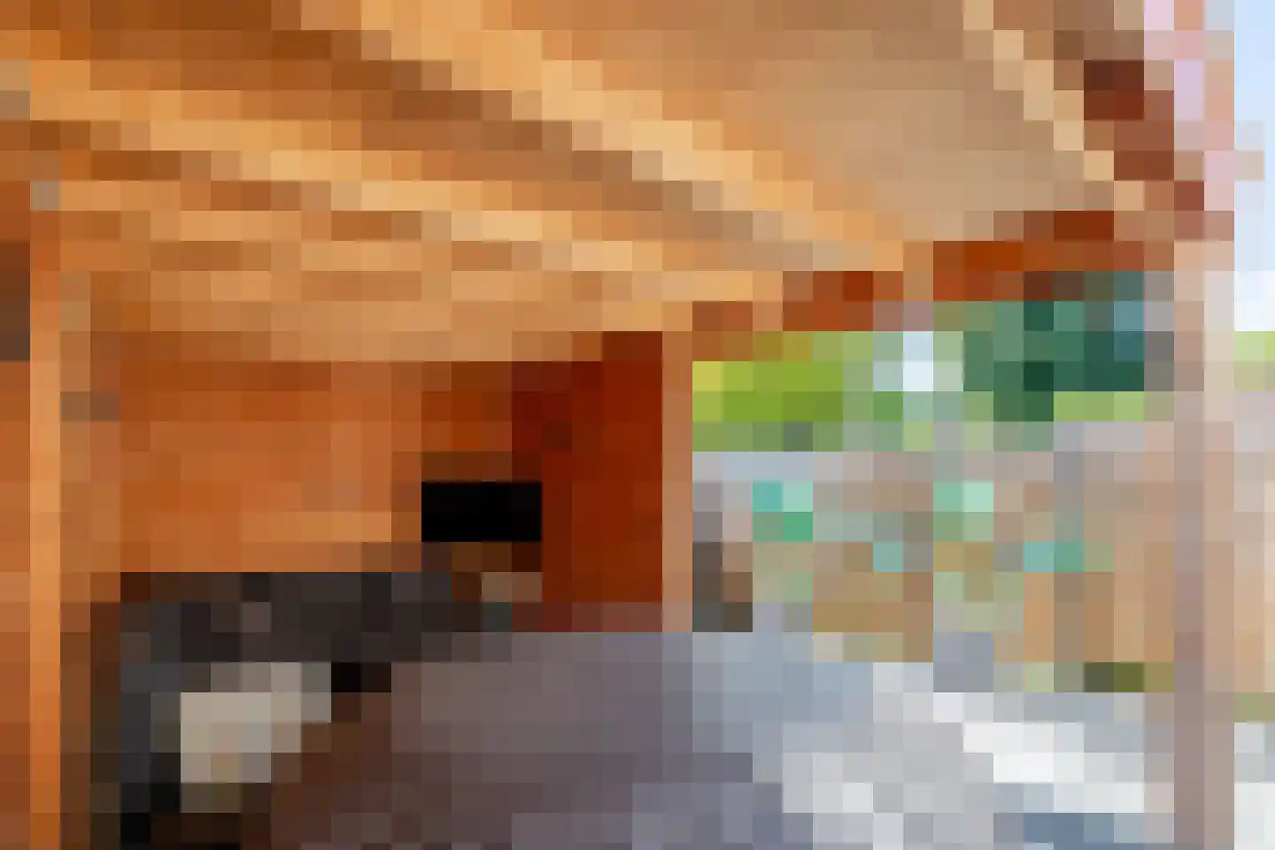 Pieter Stuyvesantstraat 15 Rheden thumbnail 30