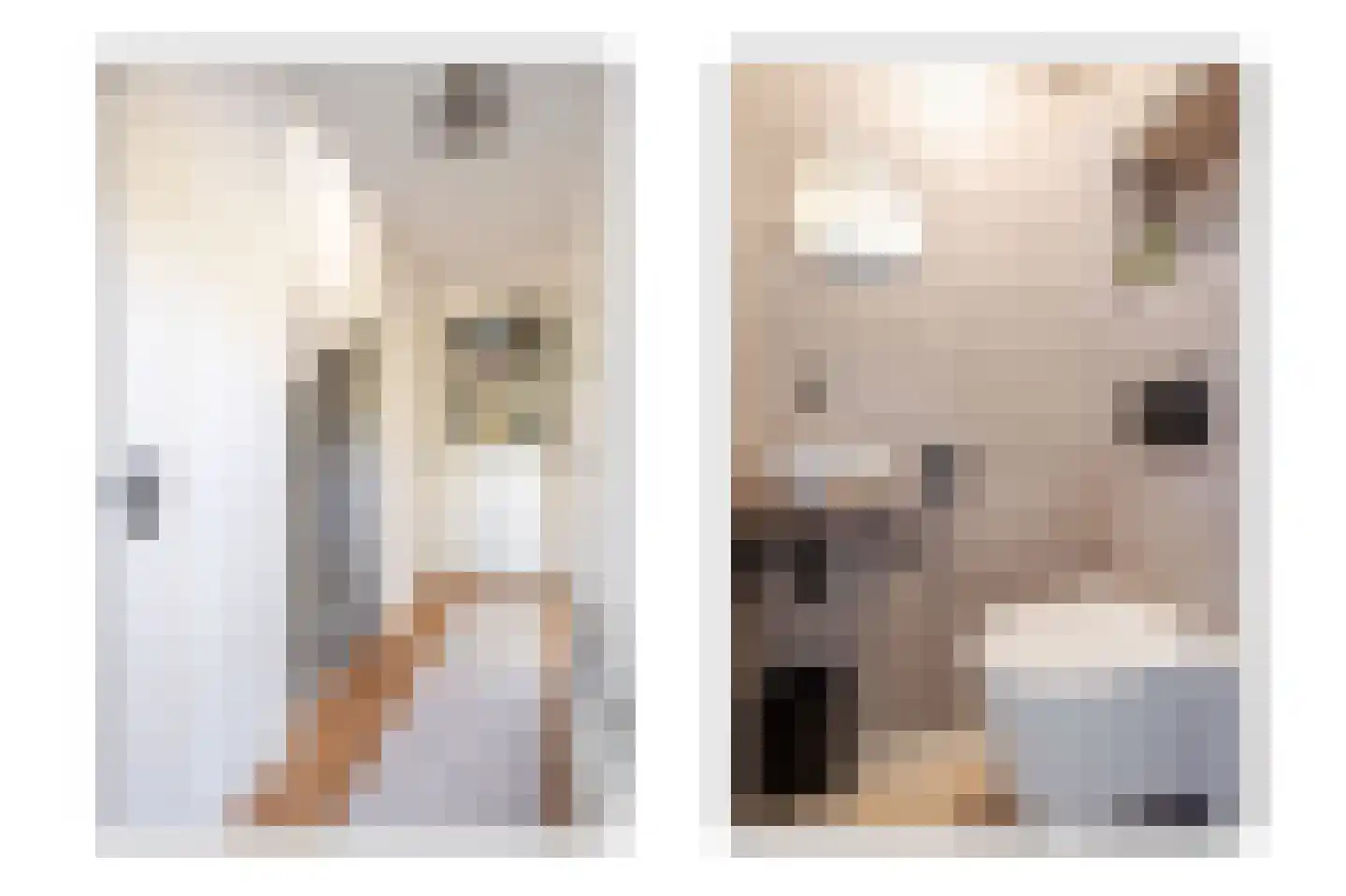 Pieter Stuyvesantstraat 15 Rheden thumbnail 6