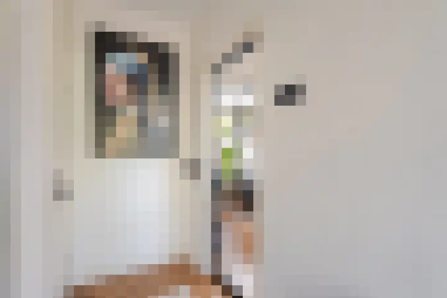 Pieter Stuyvesantstraat 15 Rheden thumbnail 7