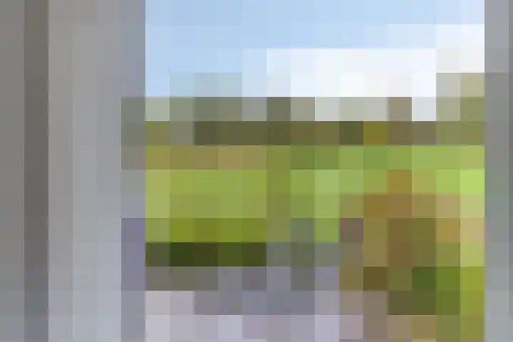 Pieter Stuyvesantweg 199 Spanga thumbnail 21