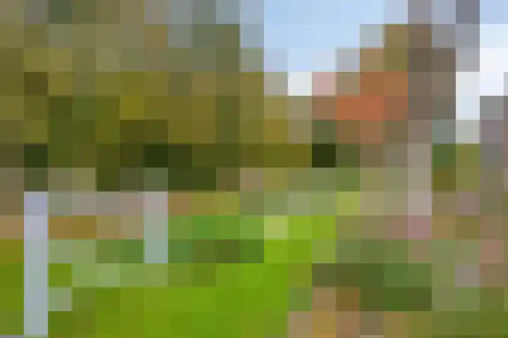 Pieter Stuyvesantweg 199 Spanga thumbnail 36
