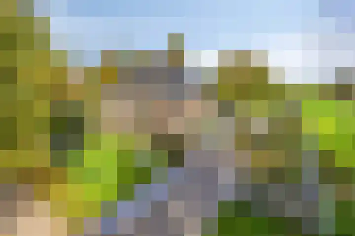 Pieter Stuyvesantweg 199 Spanga thumbnail 4