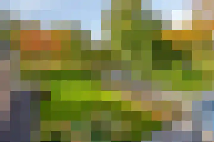 Pieter Stuyvesantweg 199 Spanga thumbnail 56
