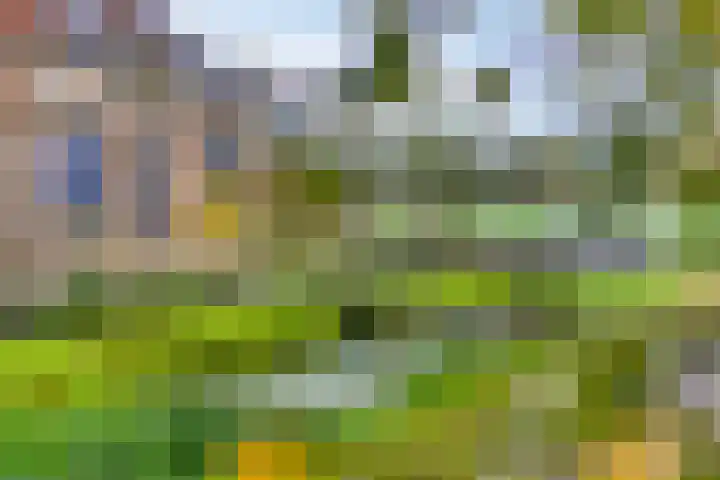 Pieter Stuyvesantweg 199 Spanga thumbnail 6