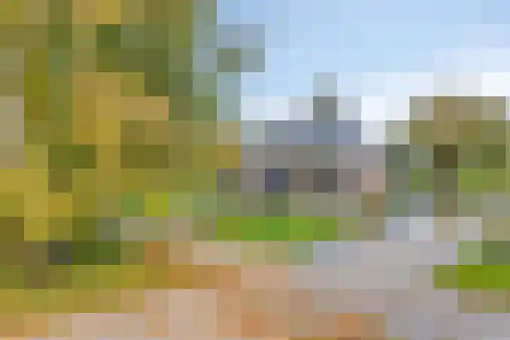 Pieter Stuyvesantweg 199 Spanga thumbnail 7