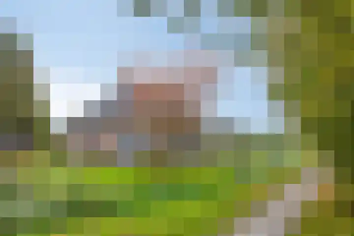 Pieter Stuyvesantweg 199 Spanga thumbnail 8