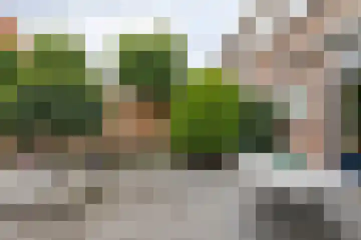 Pieter Taemszstraat 26 Edam thumbnail 27