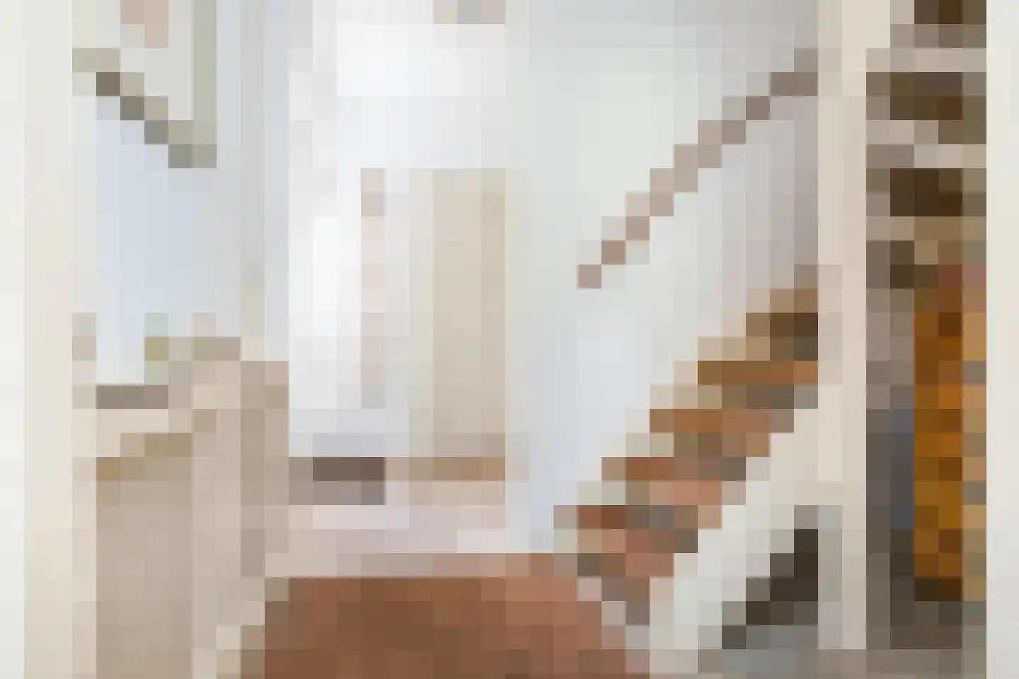 Pieter Taemszstraat 4 Edam thumbnail 17