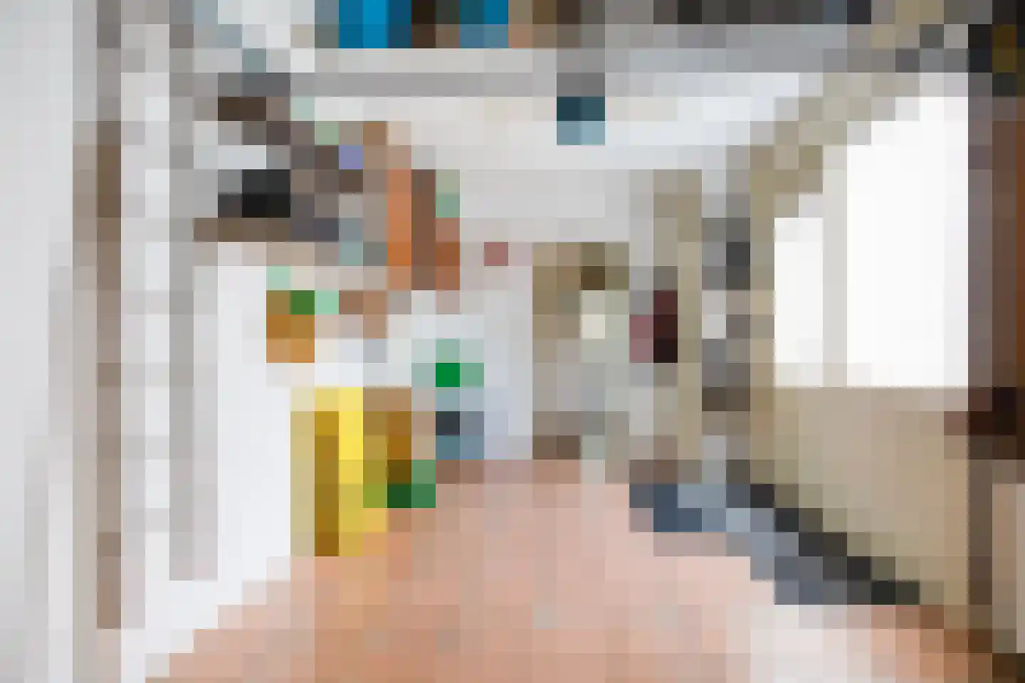 Pieter Taemszstraat 4 Edam thumbnail 29