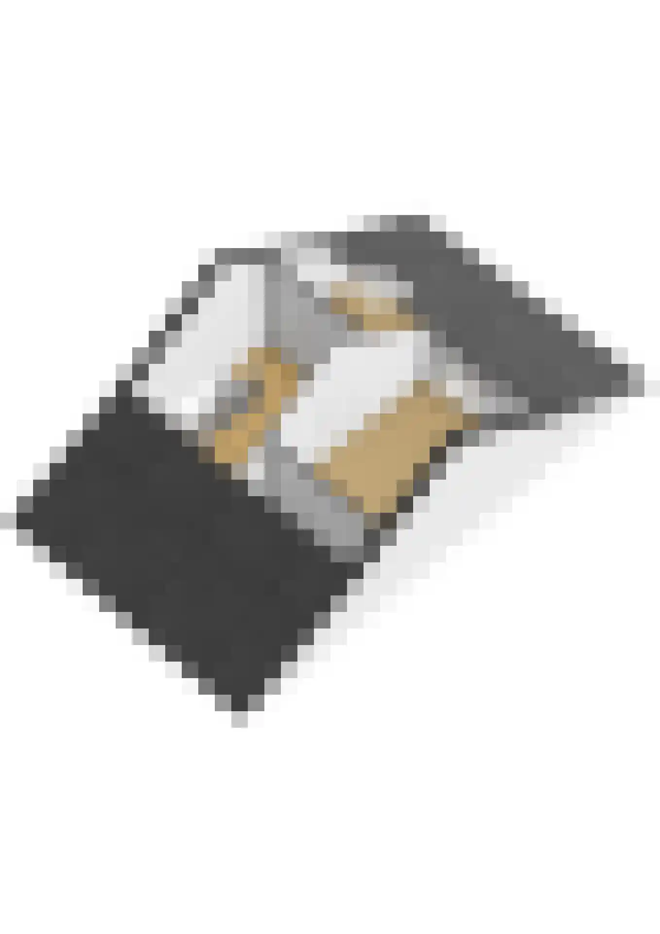 Pieter Taemszstraat 4 Edam thumbnail 39