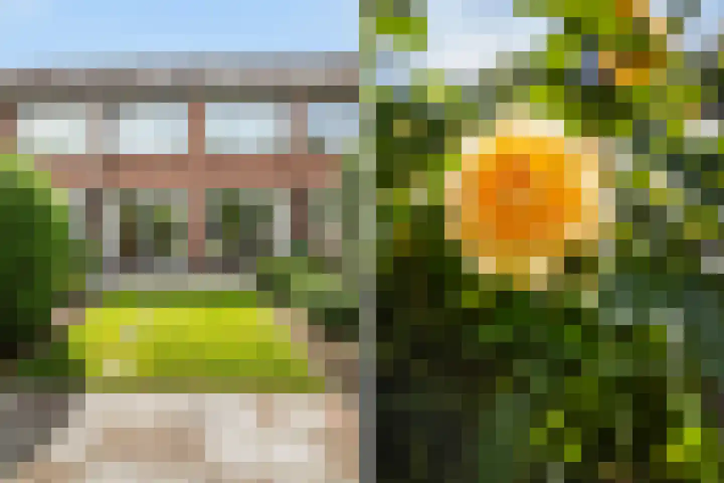 Pieter Taemszstraat 4 Edam thumbnail 4