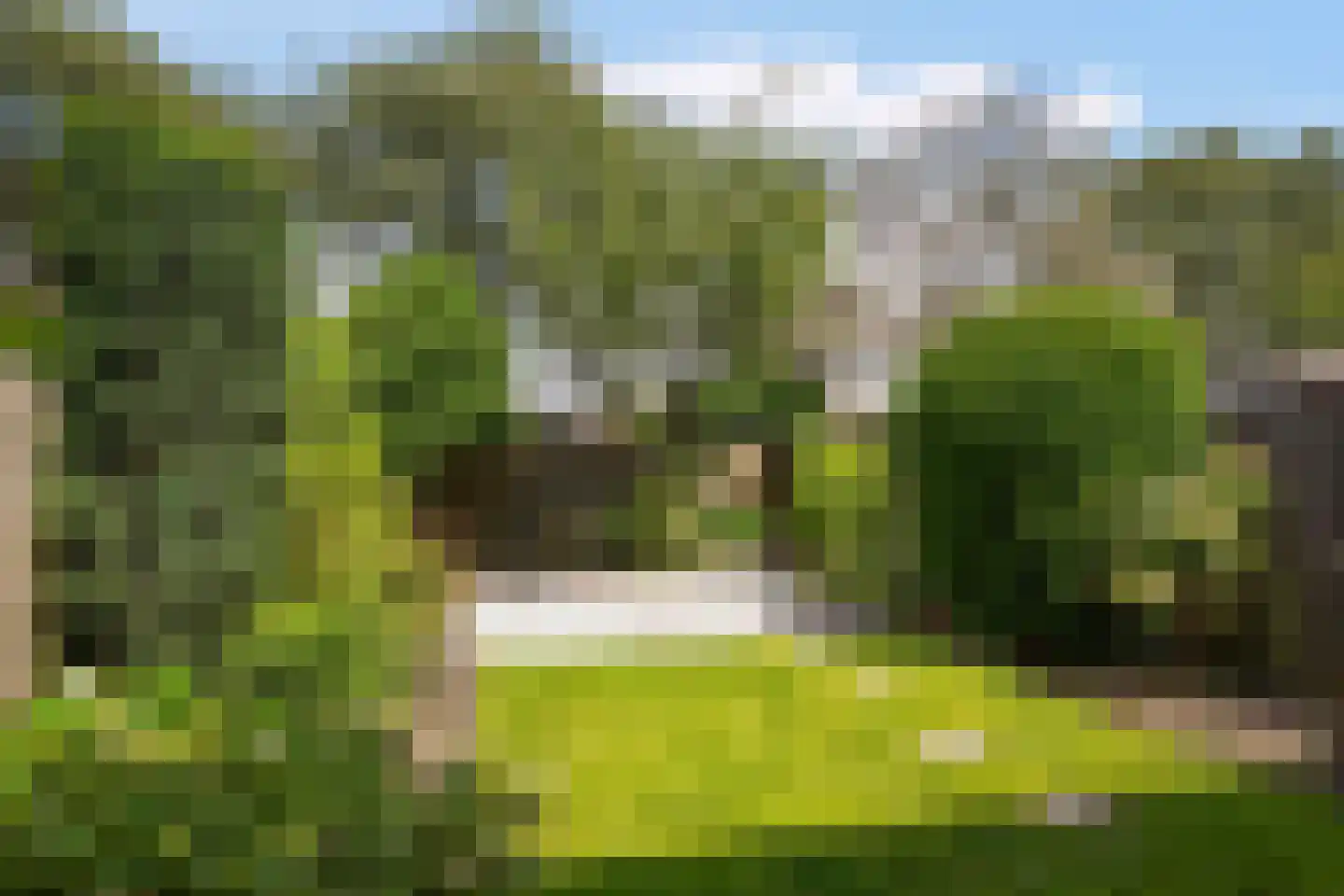 Pieter Taemszstraat 4 Edam thumbnail 5