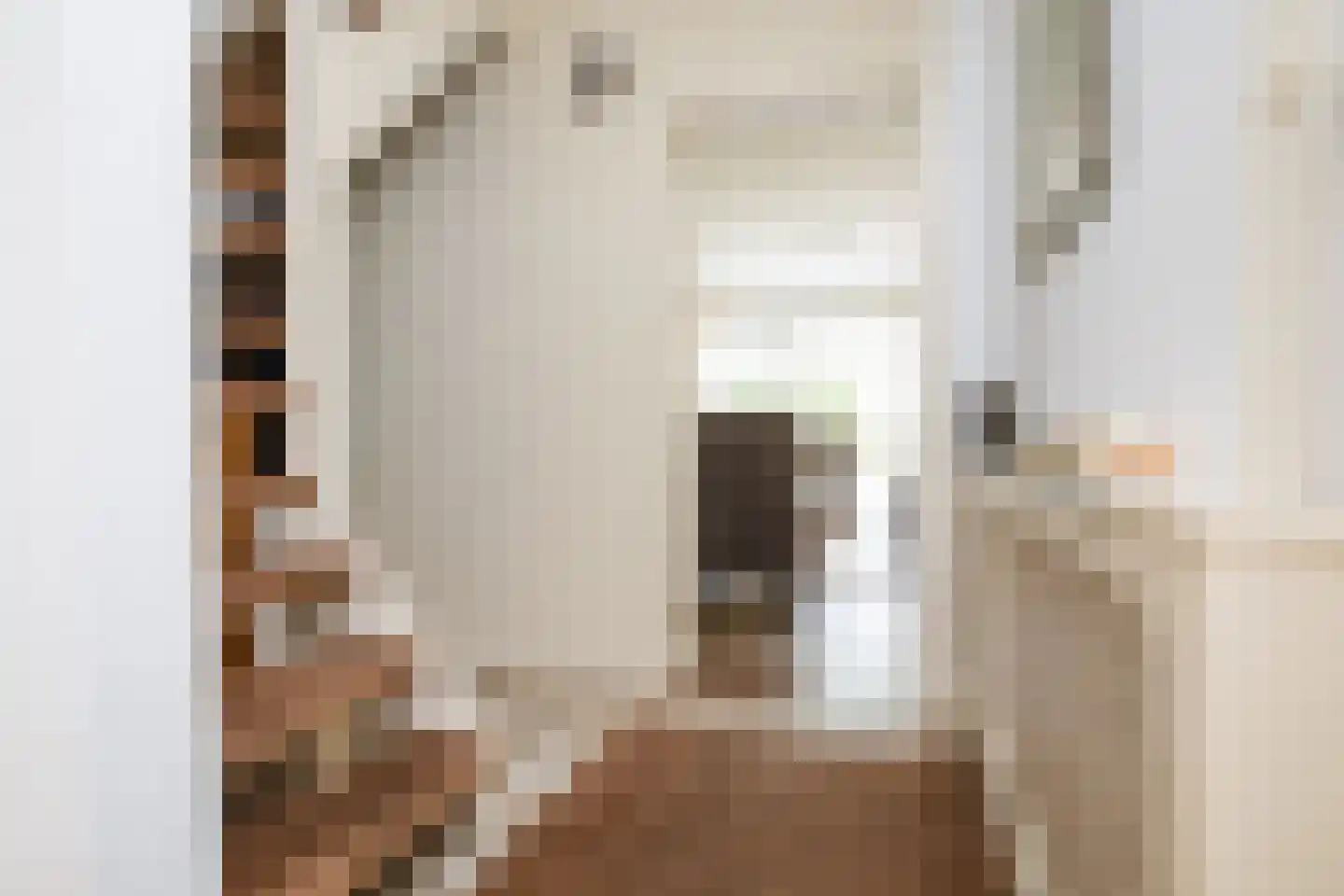Pieter Taemszstraat 4 Edam thumbnail 6