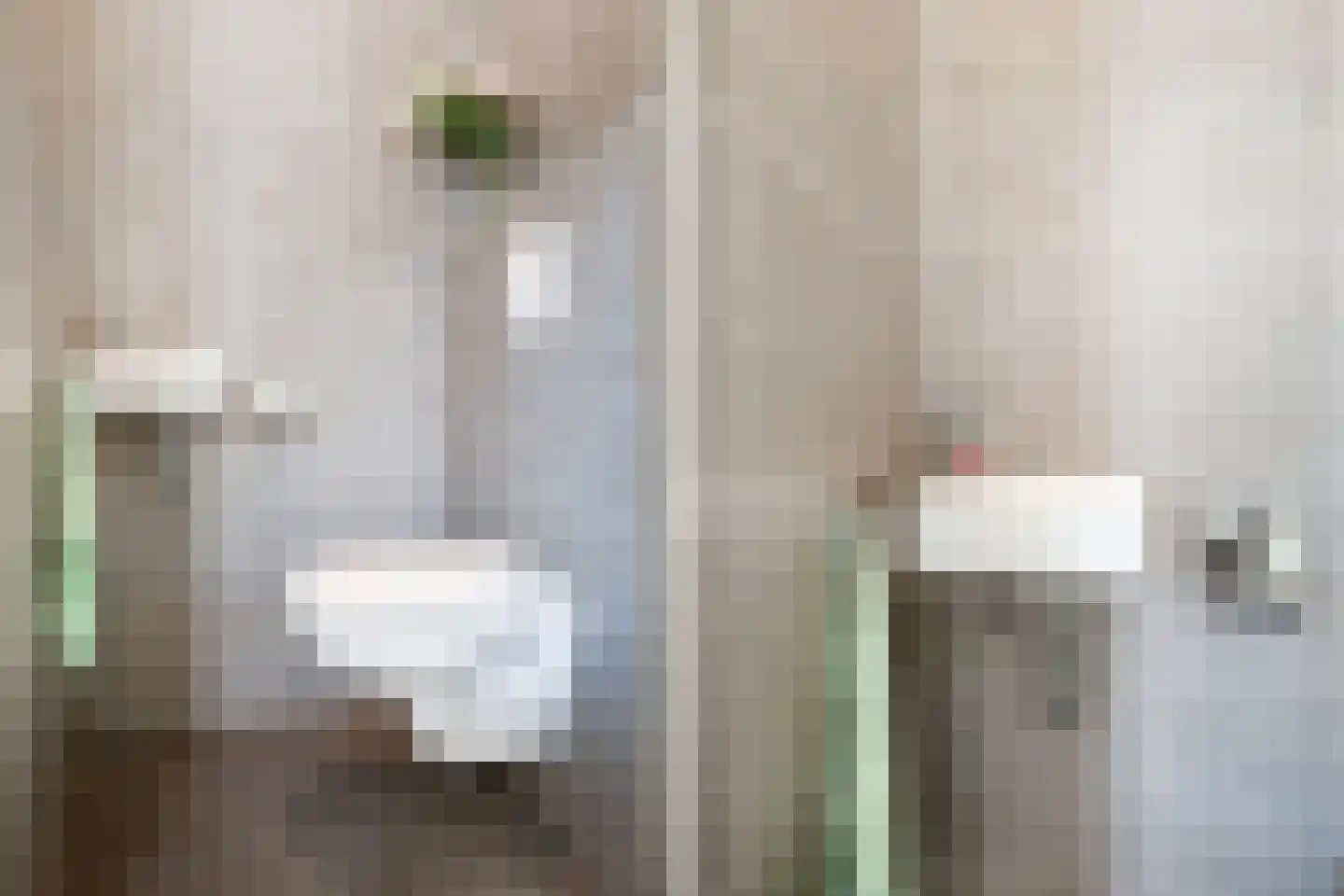 Pieter Taemszstraat 4 Edam thumbnail 7