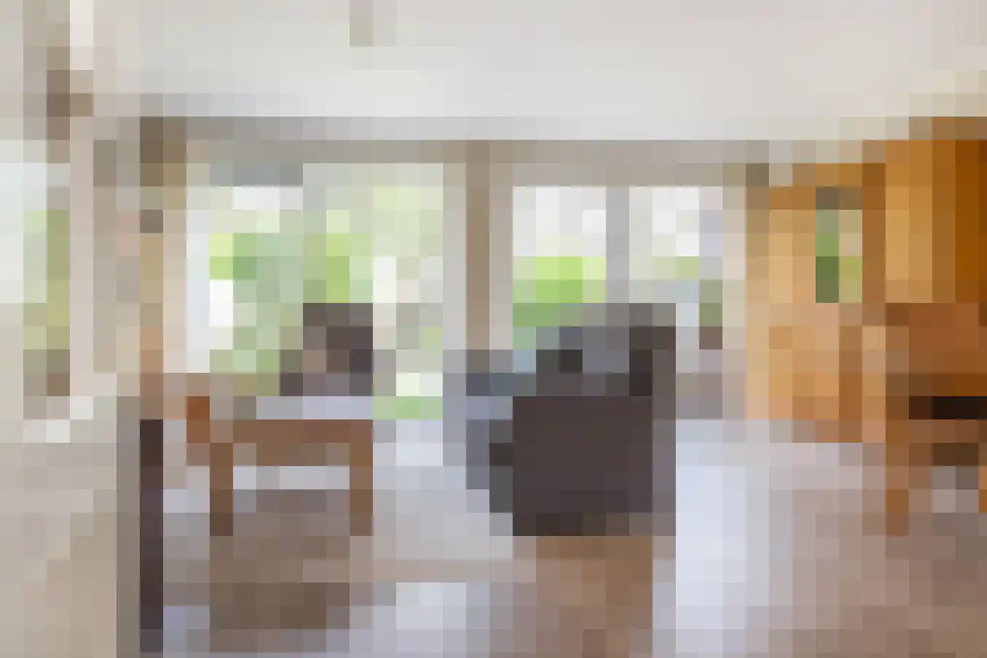 Pieter Taemszstraat 4 Edam thumbnail 8