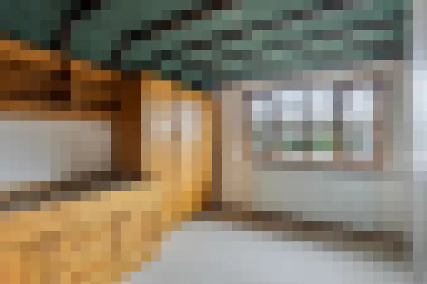 Pieter Theeuwenlaan 18 Heeze thumbnail 20