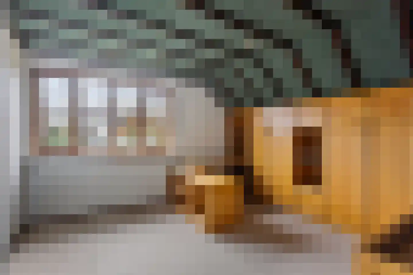 Pieter Theeuwenlaan 18 Heeze thumbnail 23