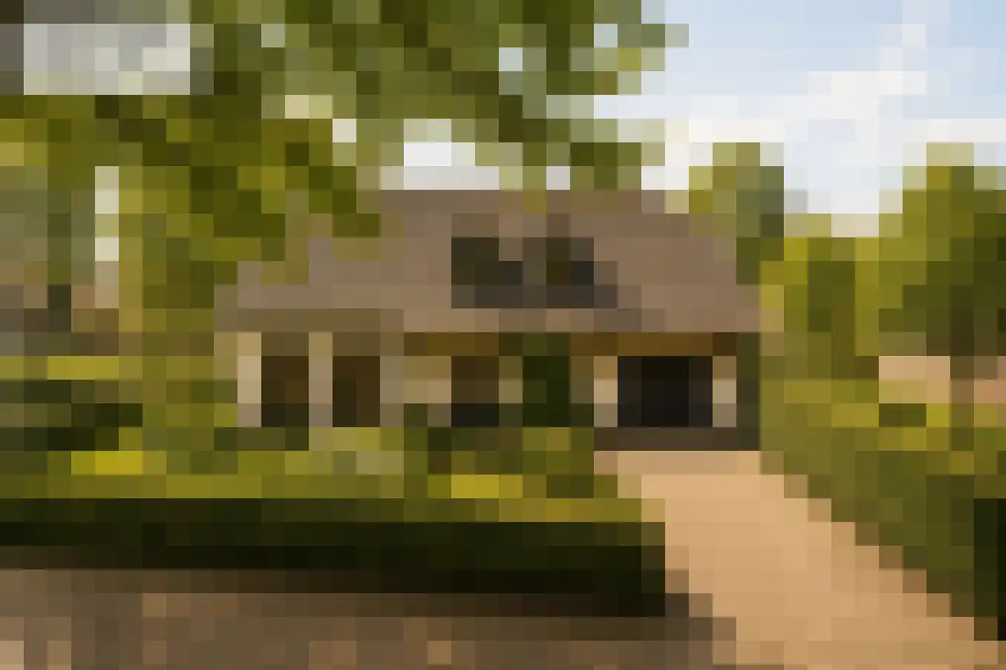 Pieter Theeuwenlaan 18 Heeze thumbnail 5