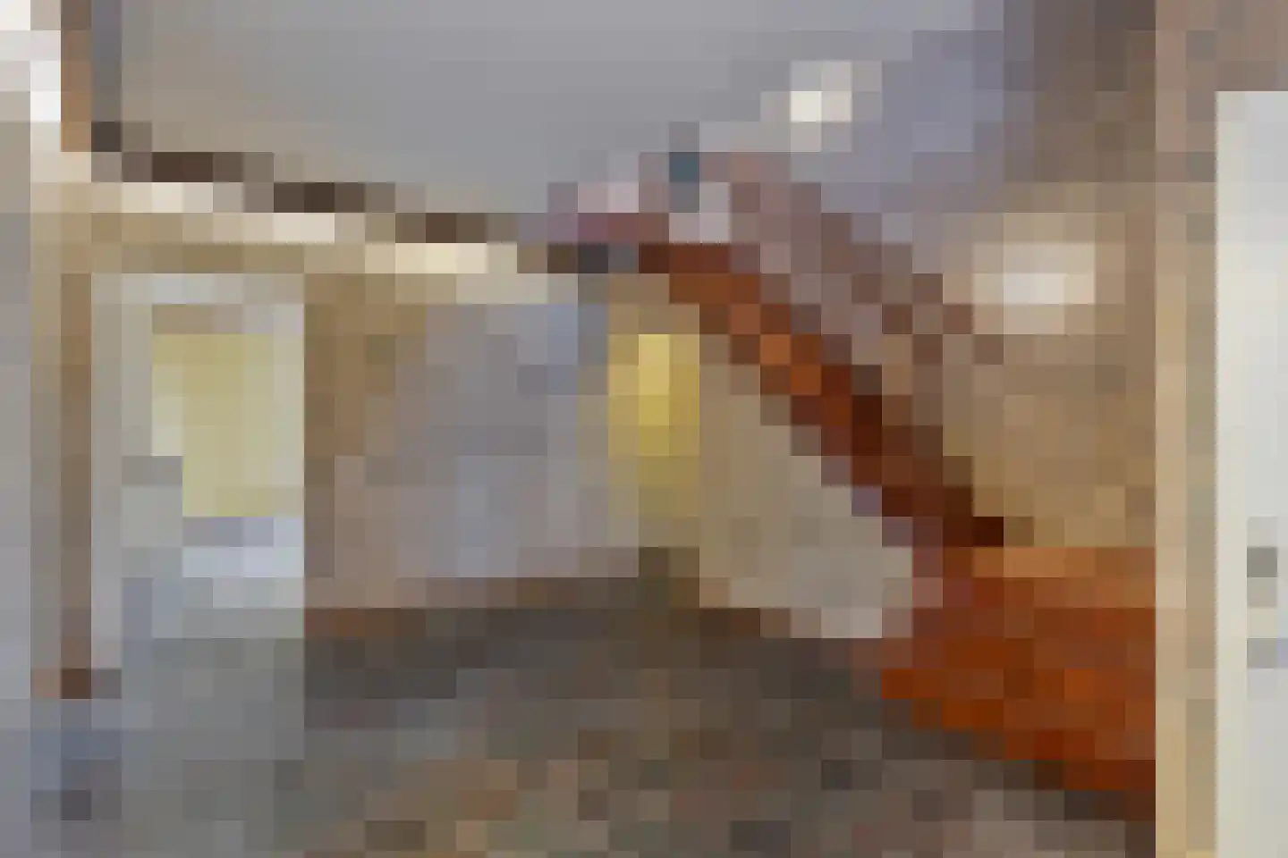 Pieter Theeuwenlaan 18 Heeze thumbnail 5