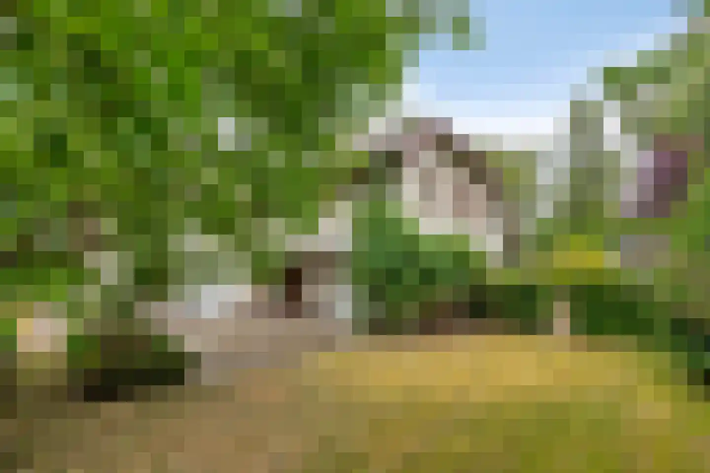 Pieter Theeuwenlaan 18 Heeze thumbnail 50