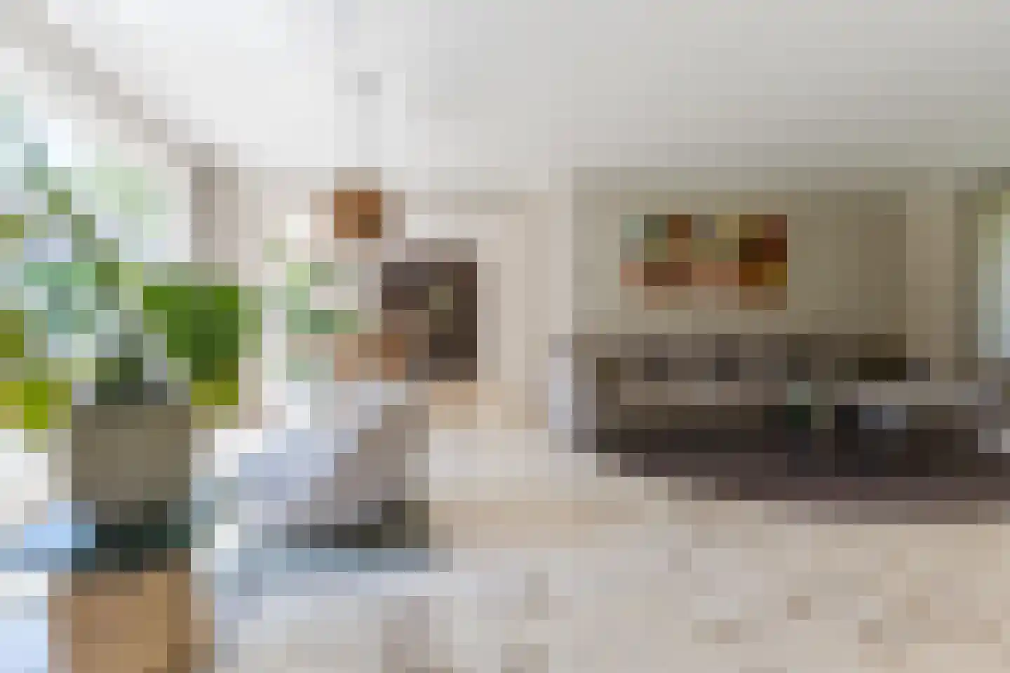 Pieter Theeuwenlaan 5 Heeze thumbnail 13