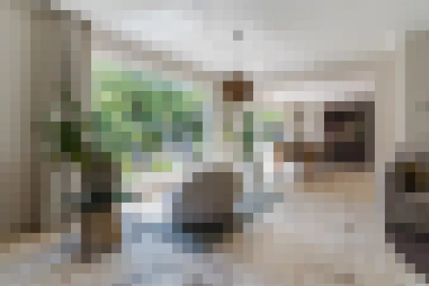 Pieter Theeuwenlaan 5 Heeze thumbnail 15