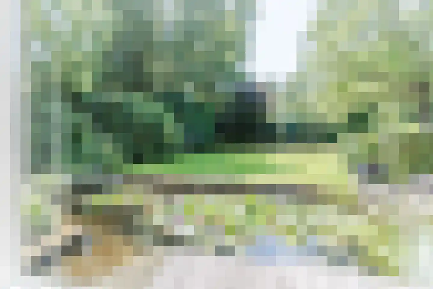 Pieter Theeuwenlaan 5 Heeze thumbnail 16
