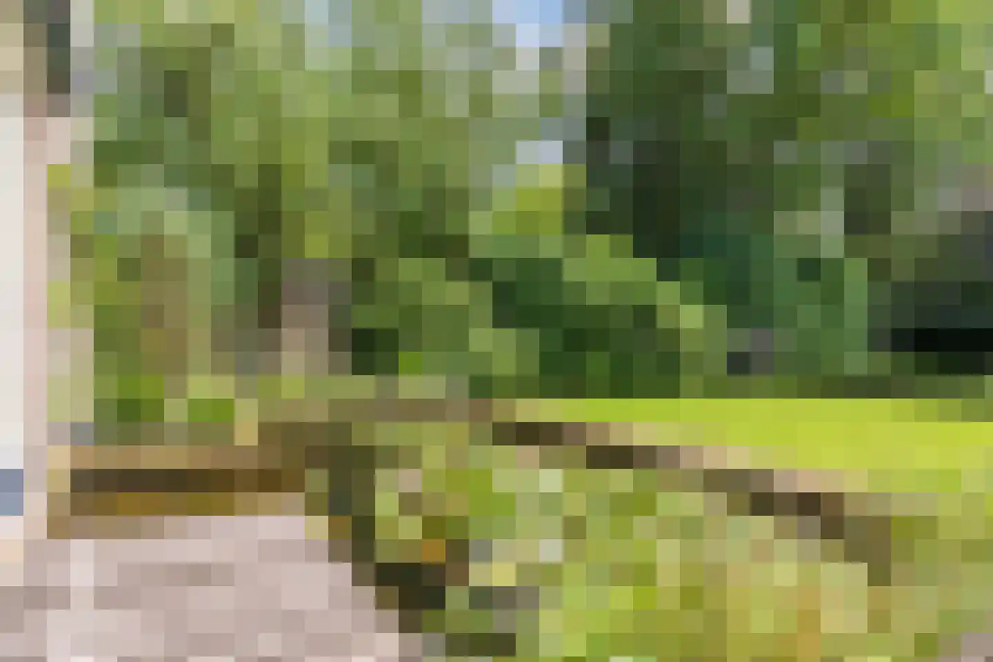 Pieter Theeuwenlaan 5 Heeze thumbnail 23