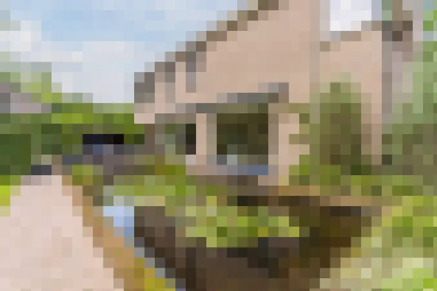 Pieter Theeuwenlaan 5 Heeze thumbnail 24