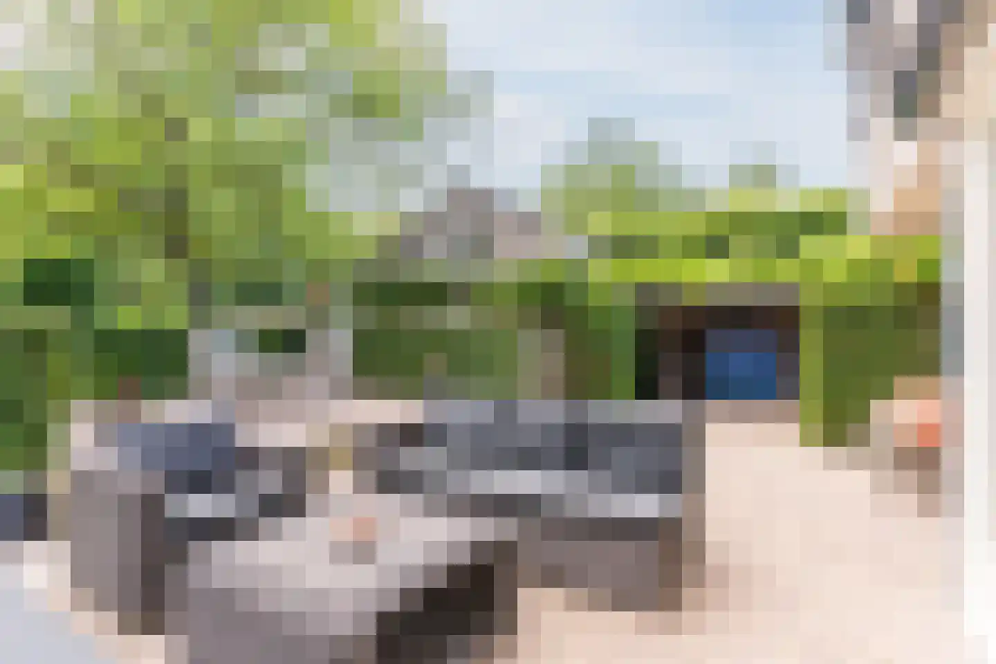 Pieter Theeuwenlaan 5 Heeze thumbnail 25
