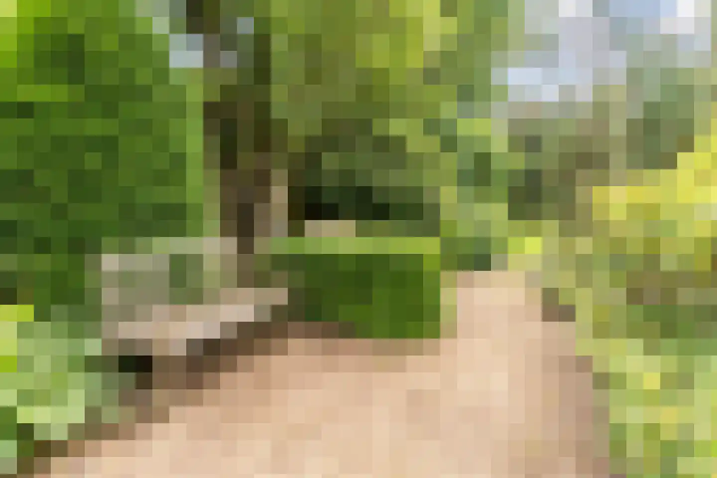 Pieter Theeuwenlaan 5 Heeze thumbnail 26
