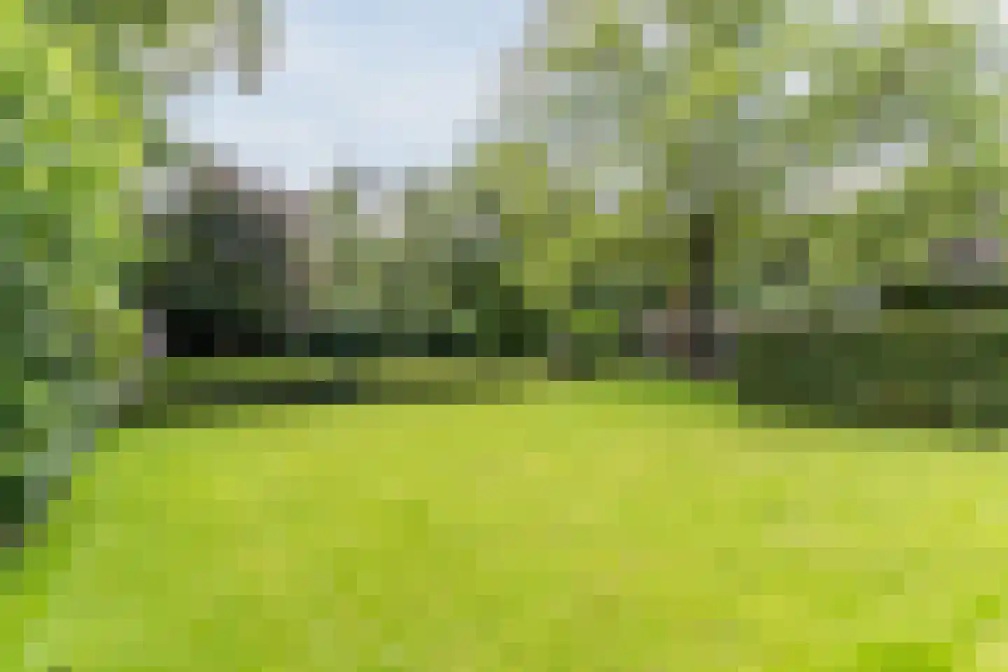 Pieter Theeuwenlaan 5 Heeze thumbnail 27