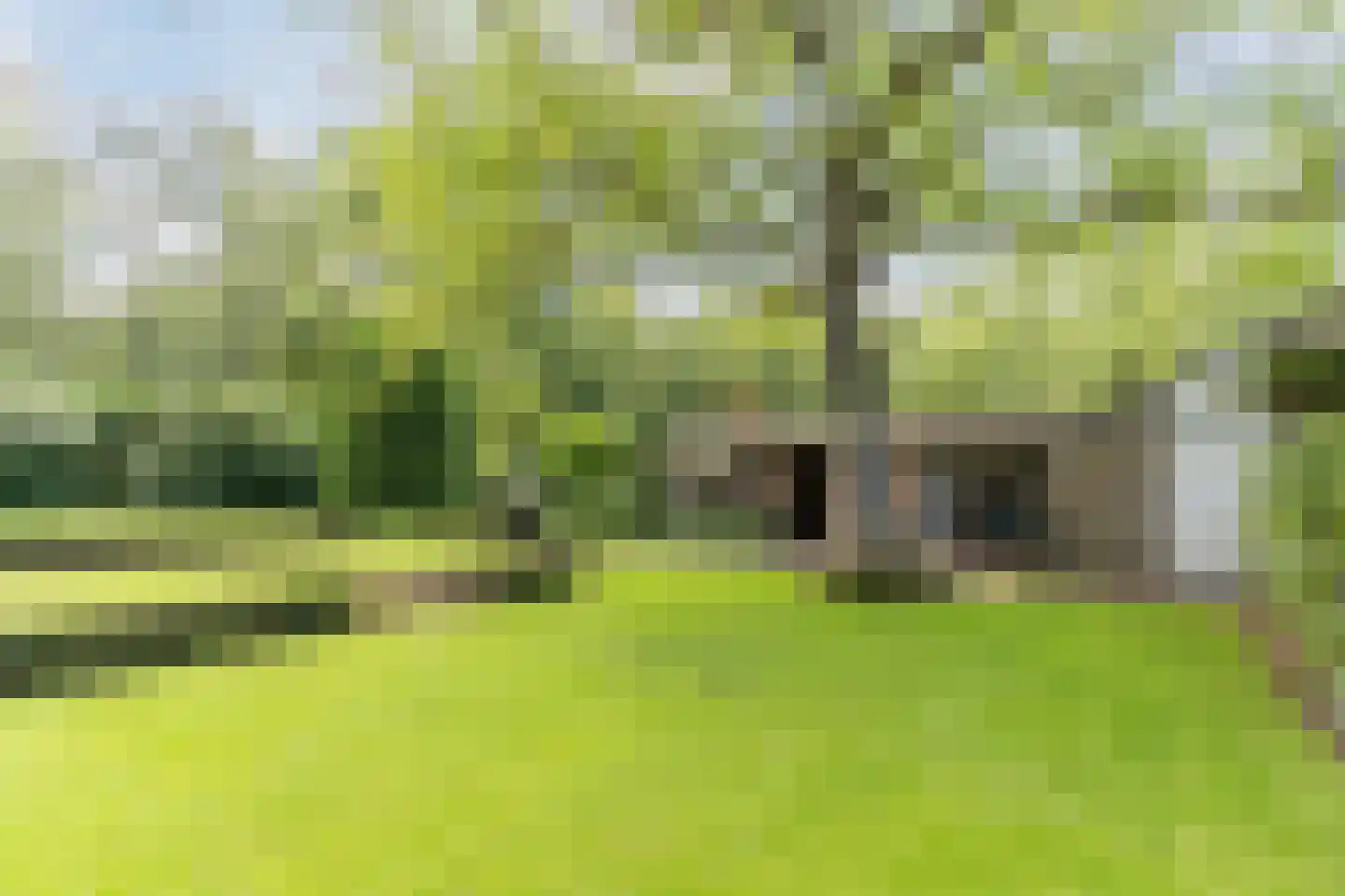 Pieter Theeuwenlaan 5 Heeze thumbnail 28