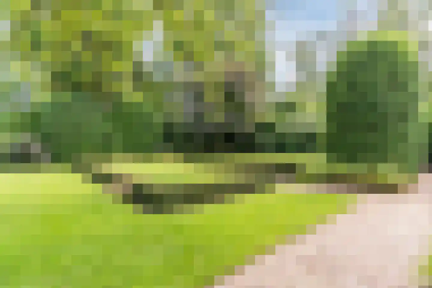 Pieter Theeuwenlaan 5 Heeze thumbnail 29