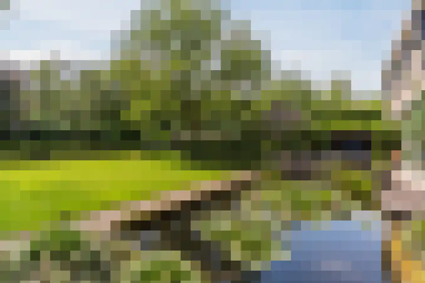 Pieter Theeuwenlaan 5 Heeze foto 3
