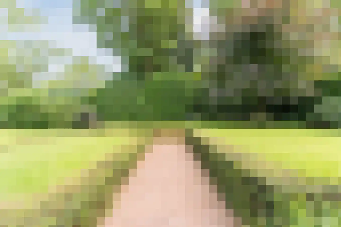 Pieter Theeuwenlaan 5 Heeze thumbnail 30